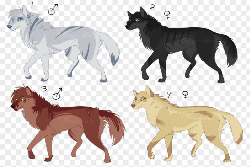 Lion Dog Drawing Black Wolf Puppy PNG