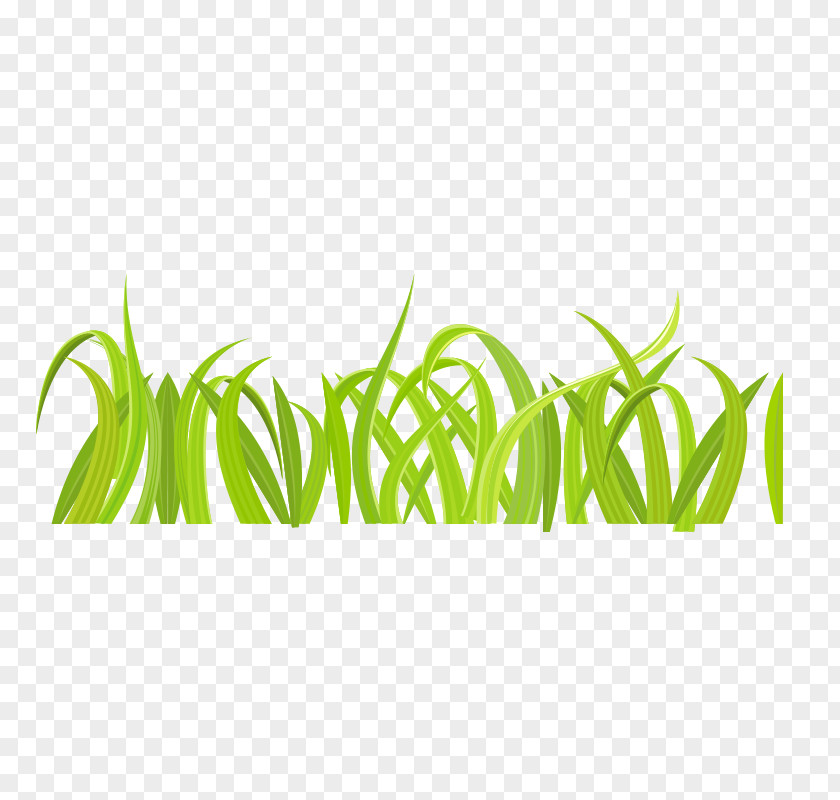 Small Grass Illustration Animated Cartoon Image PNG