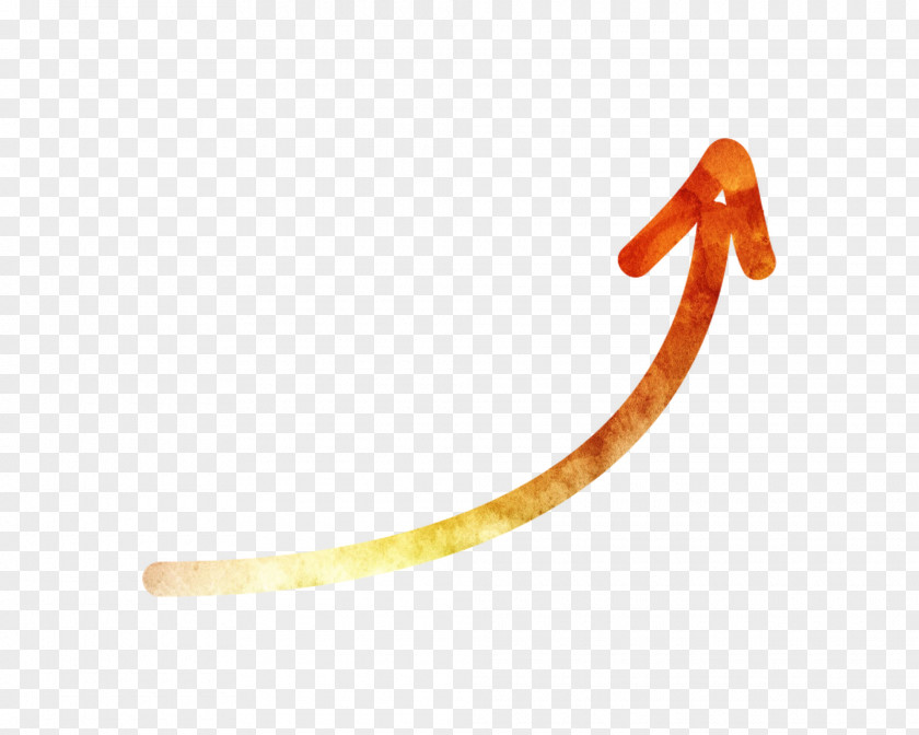 Worm Body Jewellery Font Orange S.A. PNG