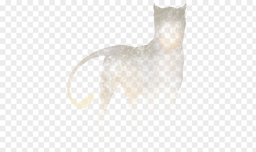 Dog Whiskers Cat Fur Snout PNG