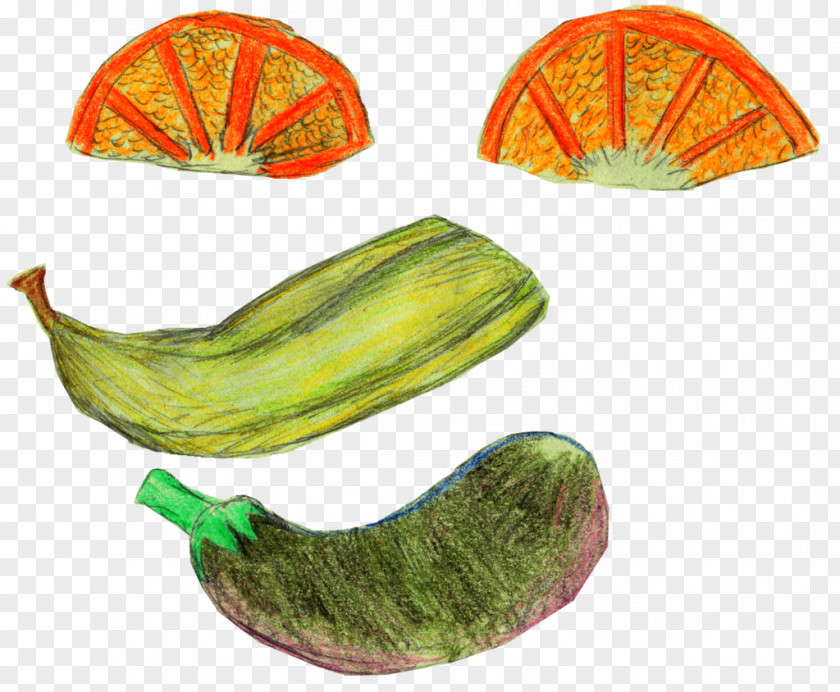 Melon Cucurbita Fruit Commodity PNG