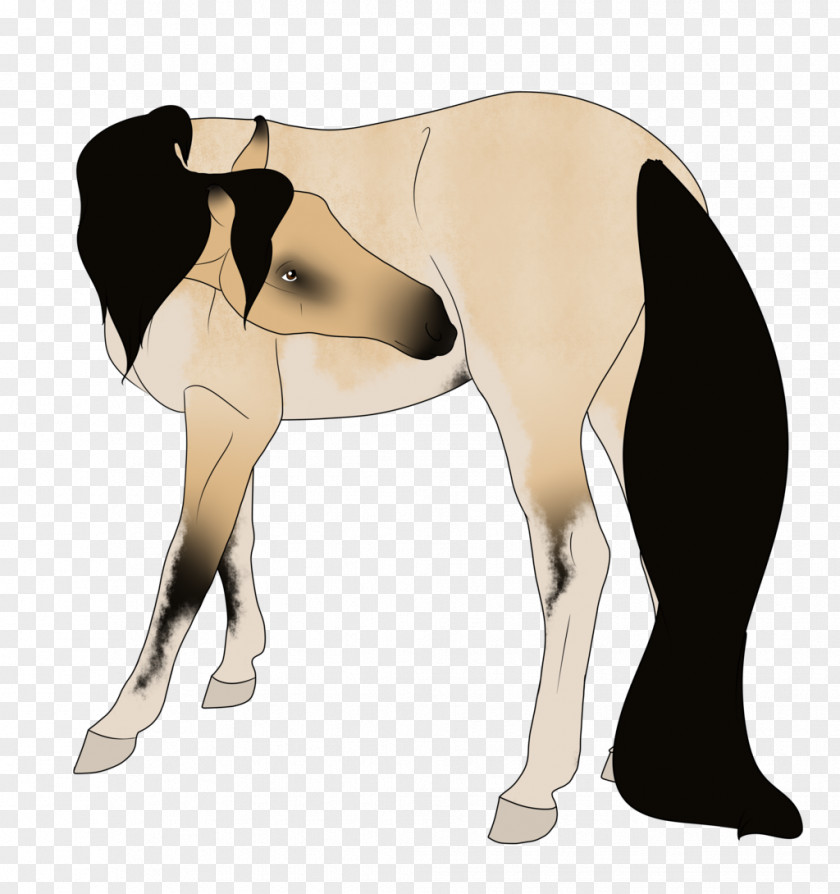 Mustang Stallion Rein Halter Shoulder PNG