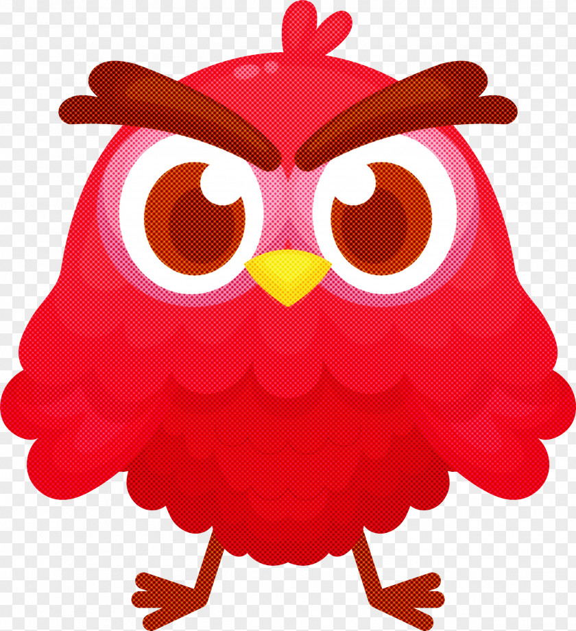 Owls Birds Eastern Screech Owl Great Horned Beak PNG