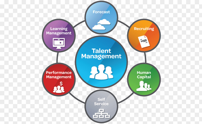 Recruiting Talents Talent Management System Human Resource Organization PNG