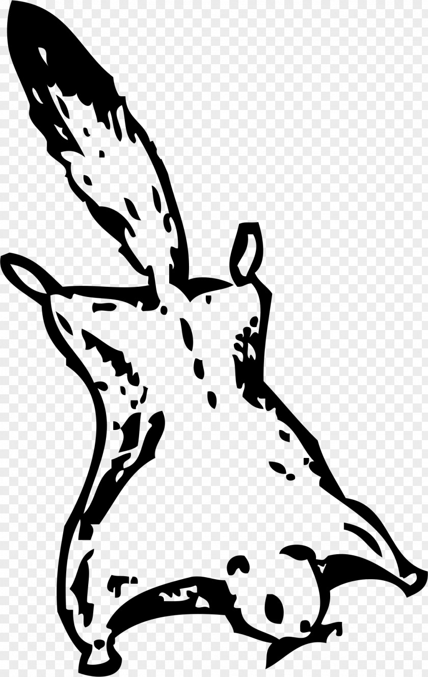 Squirrel Flying Clip Art PNG