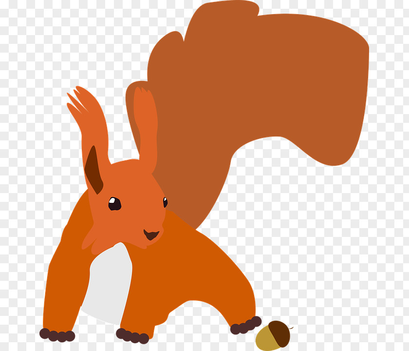 Squirrel Vector Graphics Image Rodent PNG