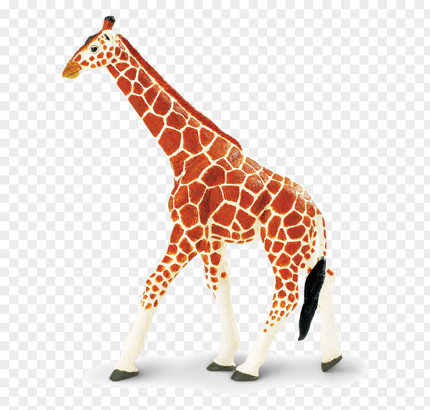 Toy Reticulated Giraffe Wildlife Safari Ltd Animal Figurine PNG