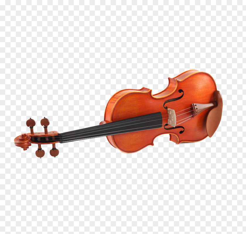 Violin Orchestra Bass Viola Double PNG