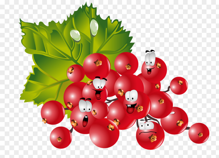 Berries Fruit Vegetable Clip Art Food PNG