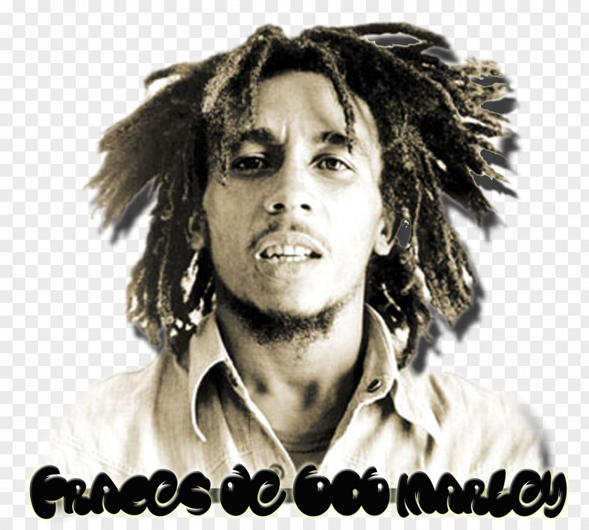 Bob Marley And The Wailers Reggae Exodus One Love: Very Best Of & PNG