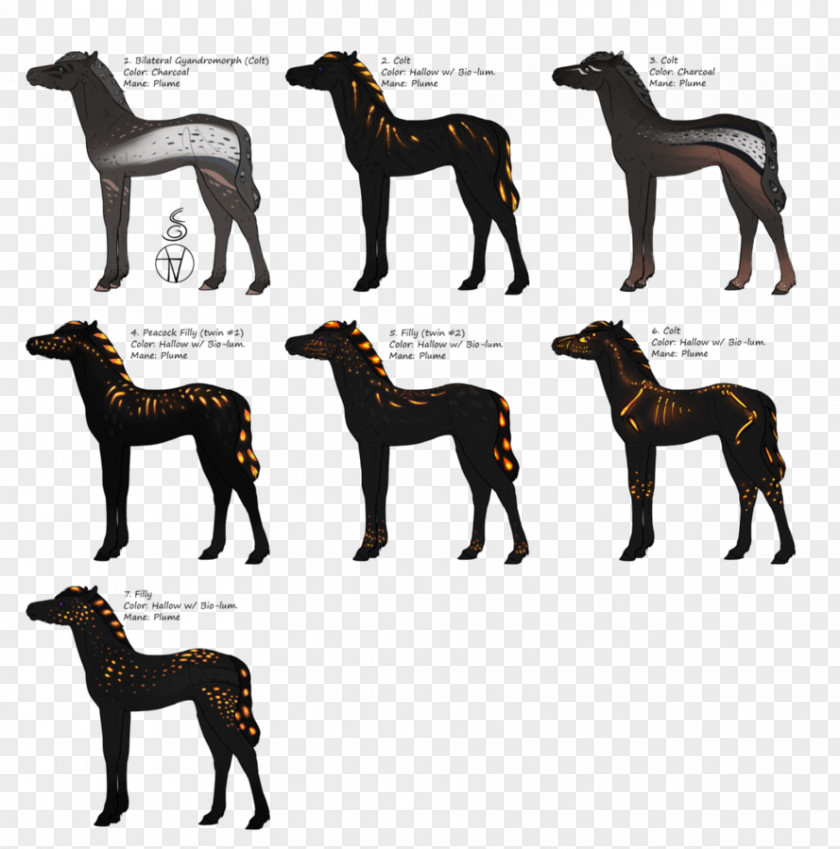 Cat Canidae Horse Dog Mammal PNG