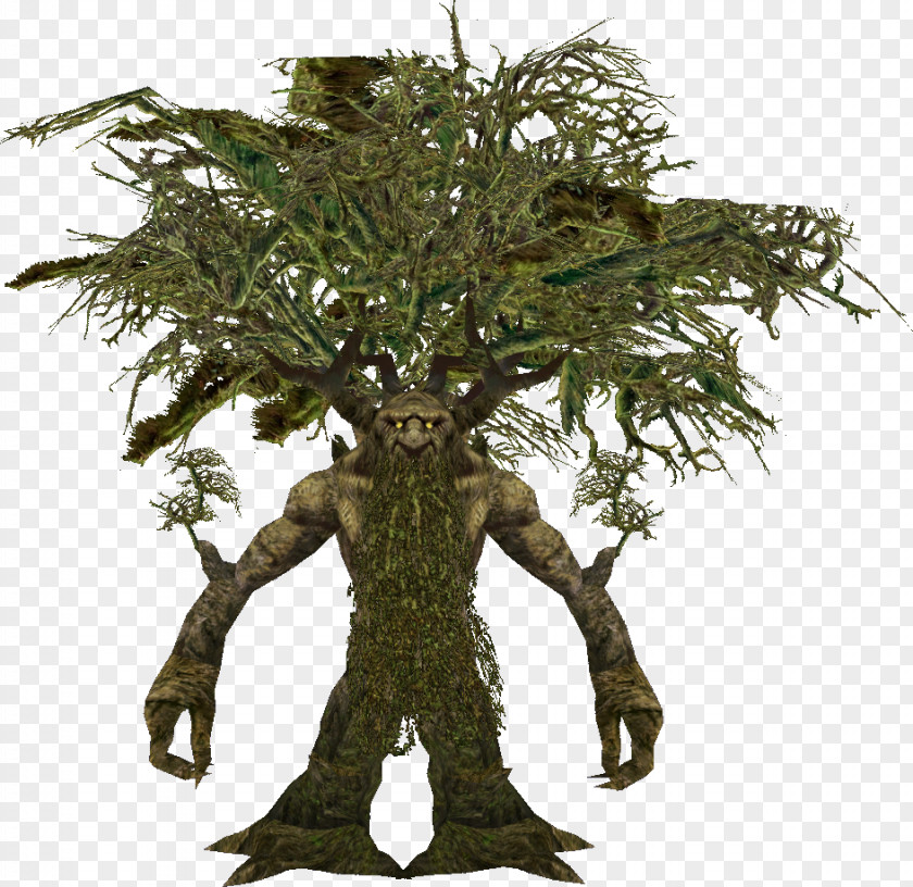 Dungeons And Dragons & Pathfinder Roleplaying Game Treant Tree Paizo Publishing PNG
