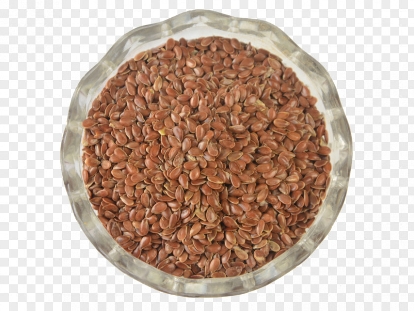 Flaxseed Sign Flax Seed Nut Egg PNG