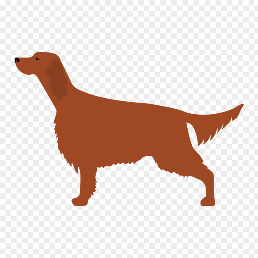 Springer Spaniel Kerry Blue Terrier Bedlington Irish Puppy PNG