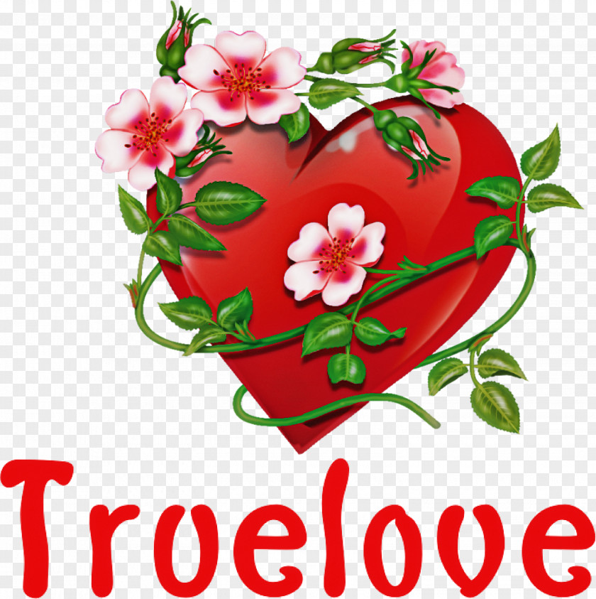 True Love Valentines Day PNG