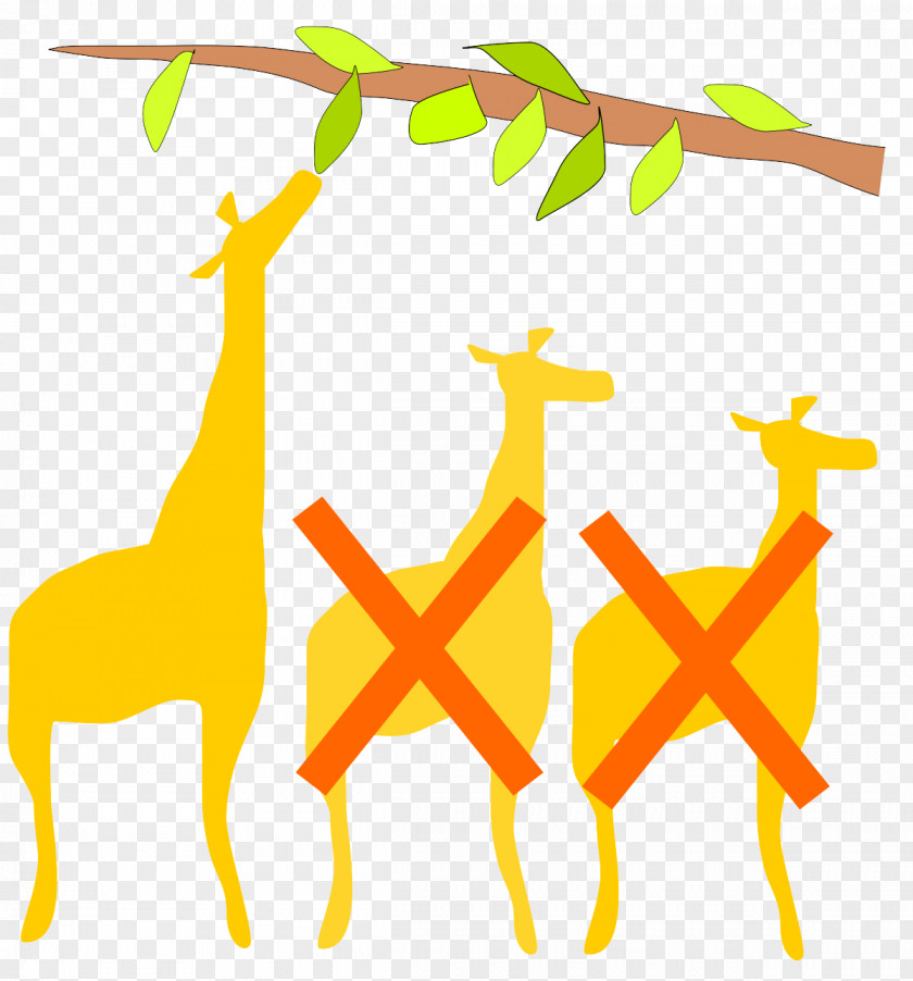Animal Figure Wildlife Giraffe Giraffidae Yellow Line PNG