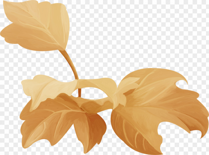 Feuilles Paper Petal Leaf PNG