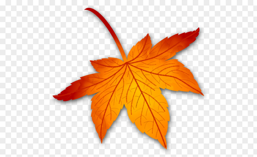 Leaf Maple PNG