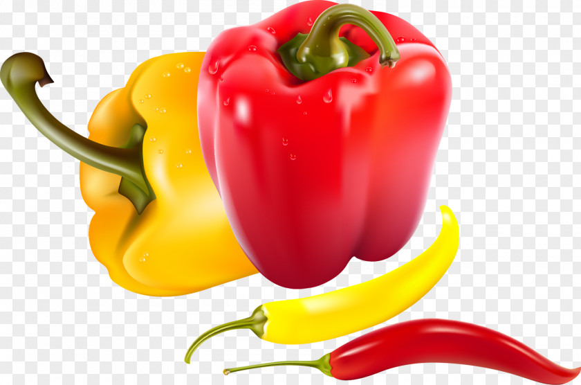 Pepper Vegetable Bell Capsicum Grocery Store PNG