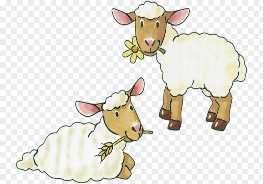 Sheep Sheep–goat Hybrid Cattle Clip Art PNG