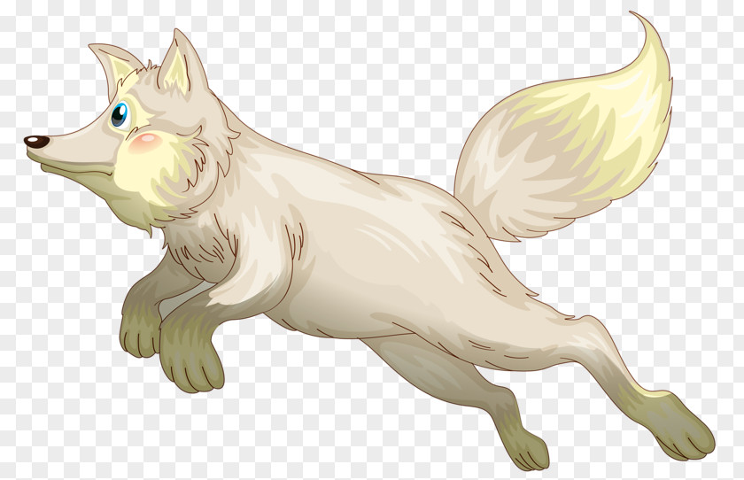 White Fox Dog PNG