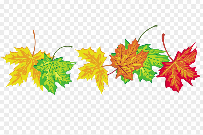 Autumn School Personal Web Page Leaf PNG