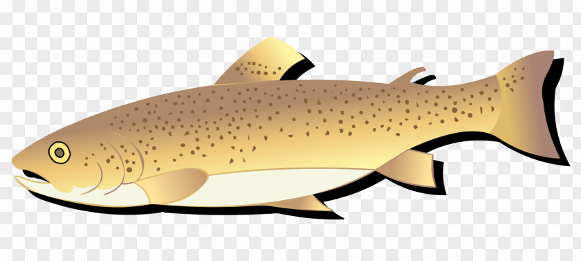 Eel Fish Salmon Trout 09777 Cod Animal PNG
