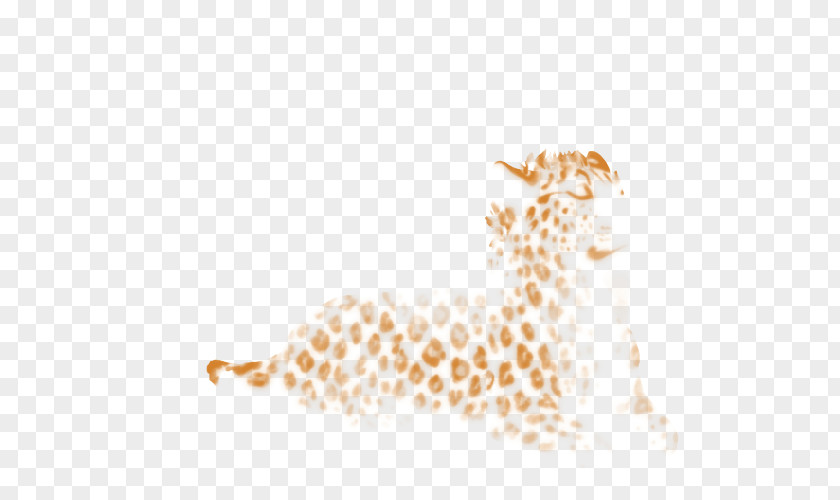 Giraffe Leopard Felidae Cheetah Lion PNG