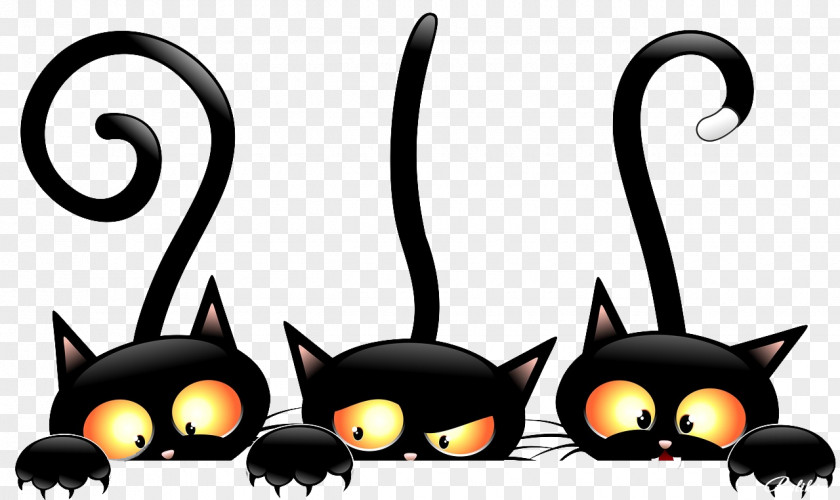 Kitten Black Cat Wall Decal PNG