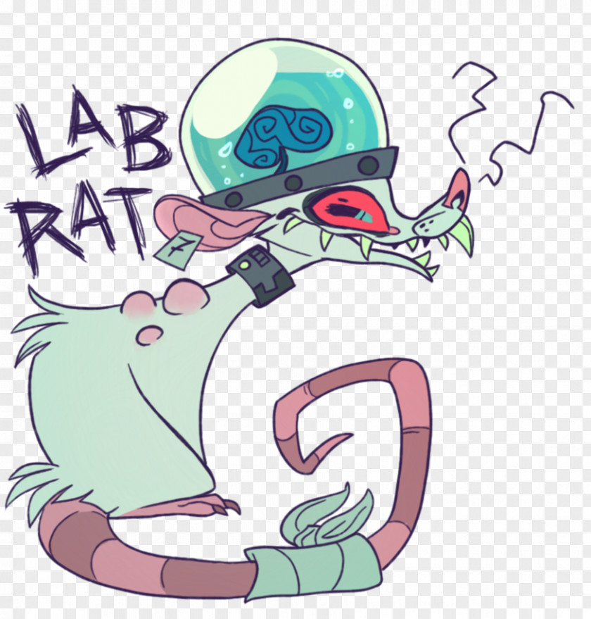 Rat Laboratory Clip Art Illustration Drawing PNG