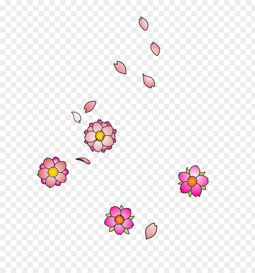Cherry Blossom Drawing Flower PNG