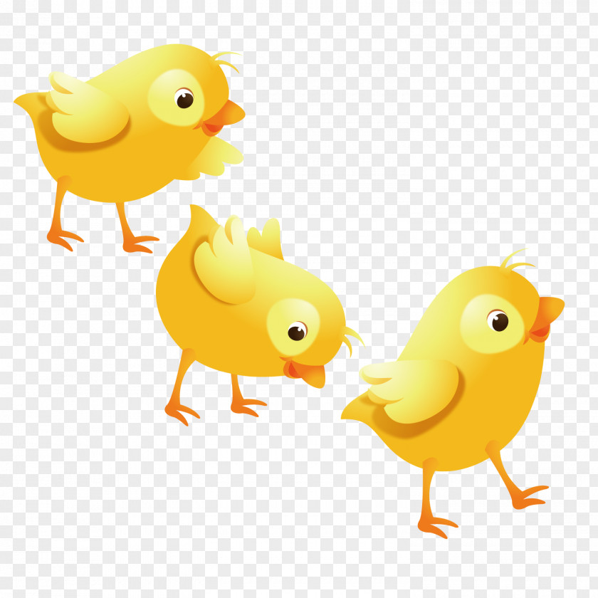 Lovely Chicken Buffalo Wing Duck Illustration PNG