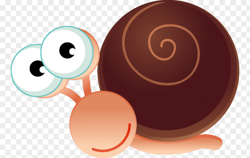 Snail Orthogastropoda Clip Art PNG