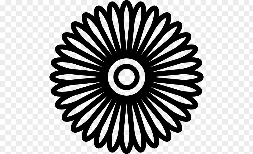 Flower Line Art Clip PNG