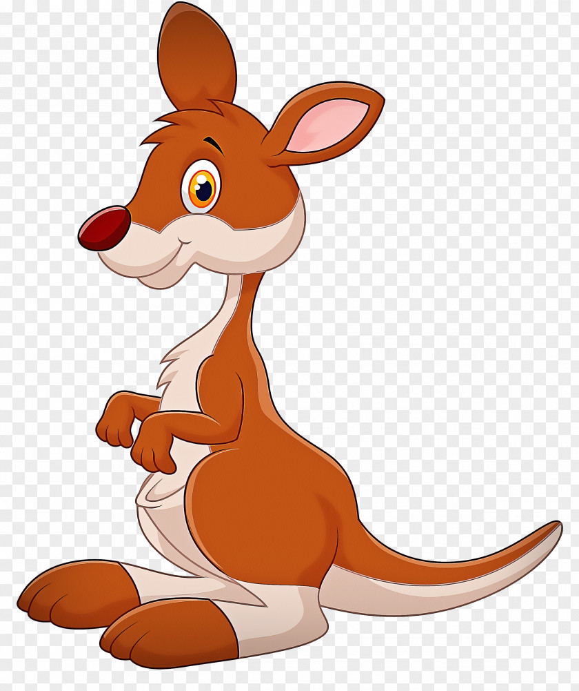 Tail Animal Figure Kangaroo Macropodidae Cartoon Animated PNG