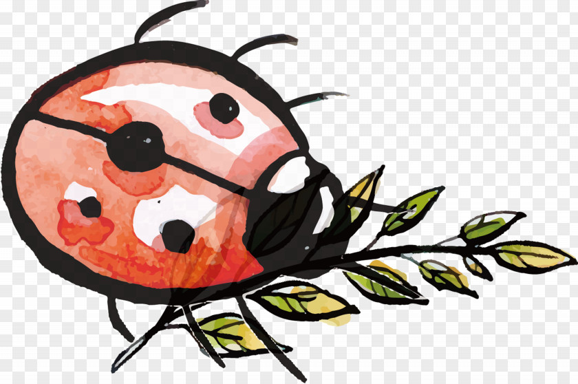 Watercolor Seven Lady Ladybug Ladybird Insect Painting PNG