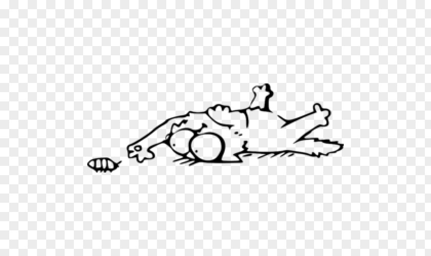 Art Amphibian Cartoon Cat PNG