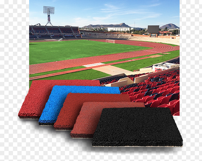 Baseball Artificial Turf Park Field Arena PNG