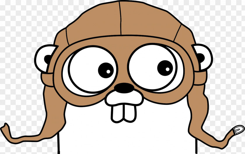 Golang Go Programming Language Source Code 