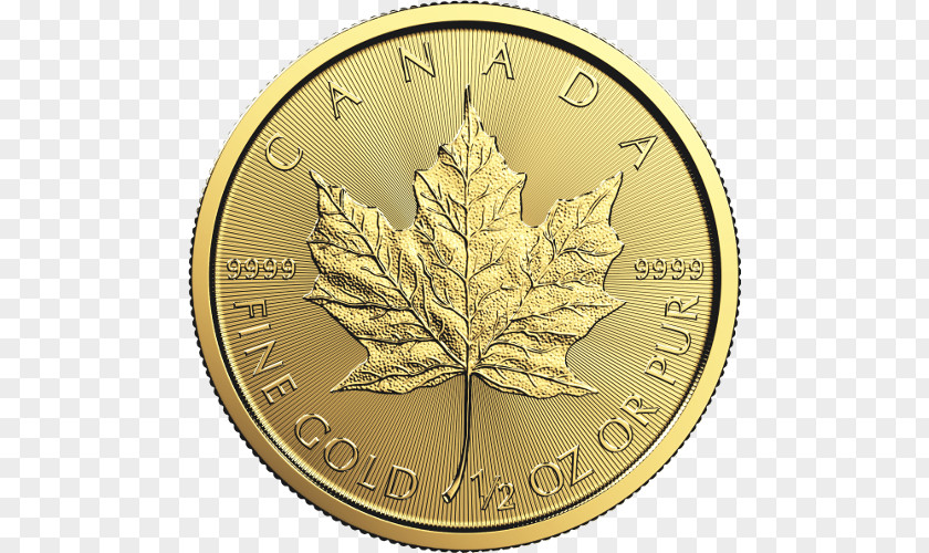 Gold Leaf Coin Canadian Maple Bullion PNG