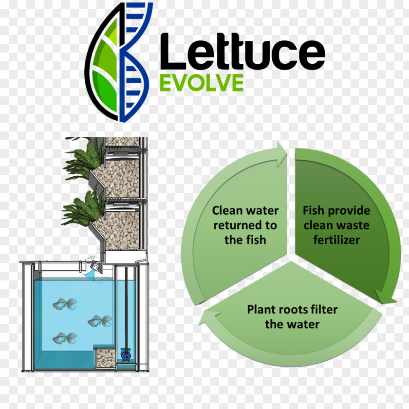 Indoor Grow Box Food Aquaponics Hydroponics Cerebrospinal Fluid Garden Punción PNG