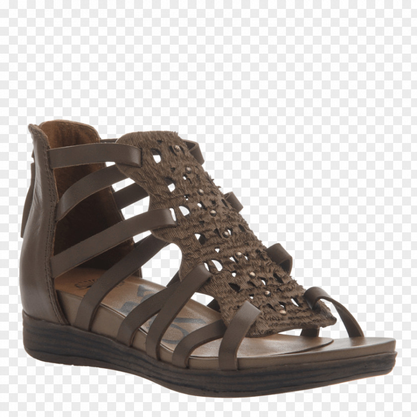 Sandal Shoe Leather Buckle Suede PNG