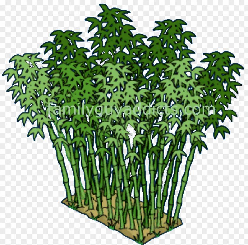 Tree Flowerpot Shrub Plant Stem PNG