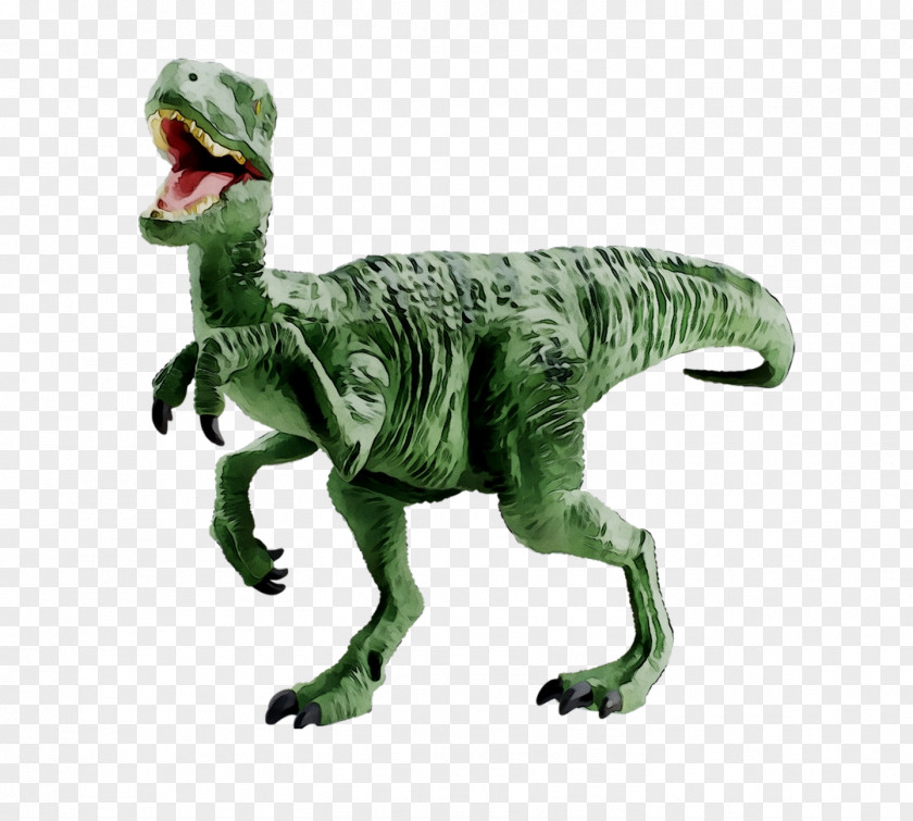 Velociraptor Tyrannosaurus Terrestrial Animal PNG