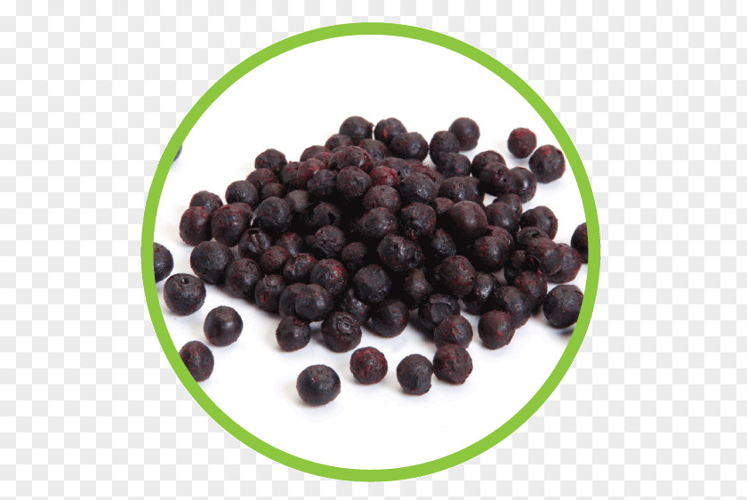 Blueberry Juniper Berry Cranberry Superfood Natural Foods PNG