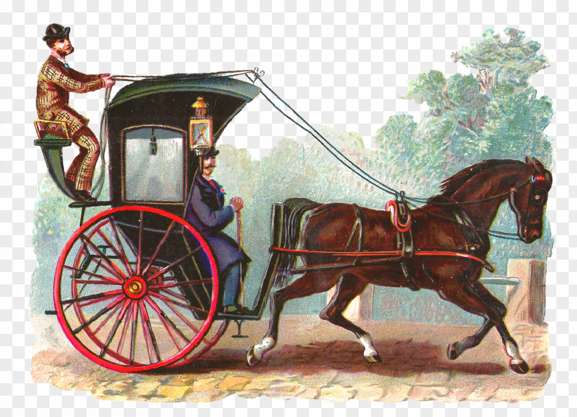 Dream Carriage Taxi The Hansom Cab Royal Albert Hall Hackney PNG