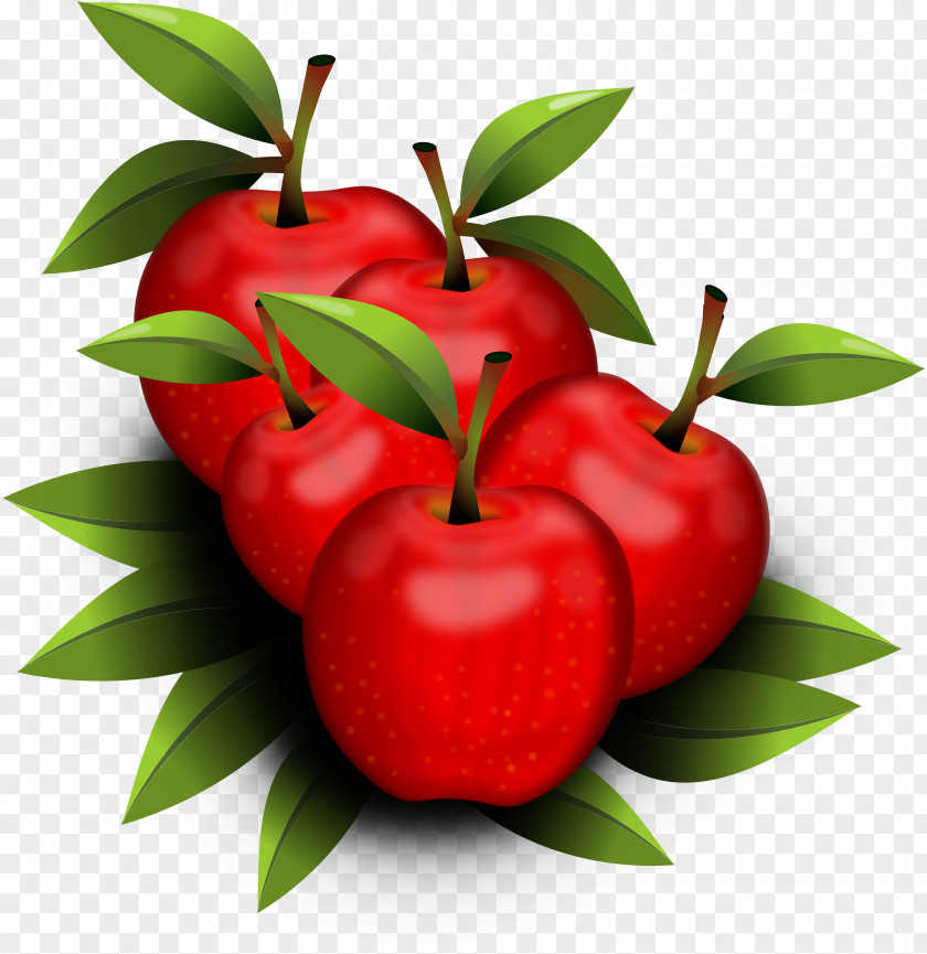 One Apple A Day Keeps The Doctor Away Barbados Cherry Strawberry Food Accessory Fruit PNG