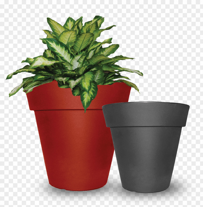 Planter Flowerpot Tusco Products Saucer Houseplant PNG