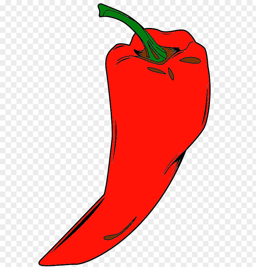 Tabasco Pepper Capsicum Annuum Var. Acuminatum Chili Malagueta Peperoncino PNG