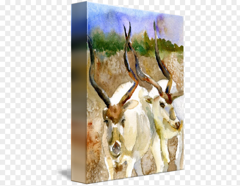 Watercolor Painting Nature Reindeer Antelope Antler Fauna Wildlife PNG